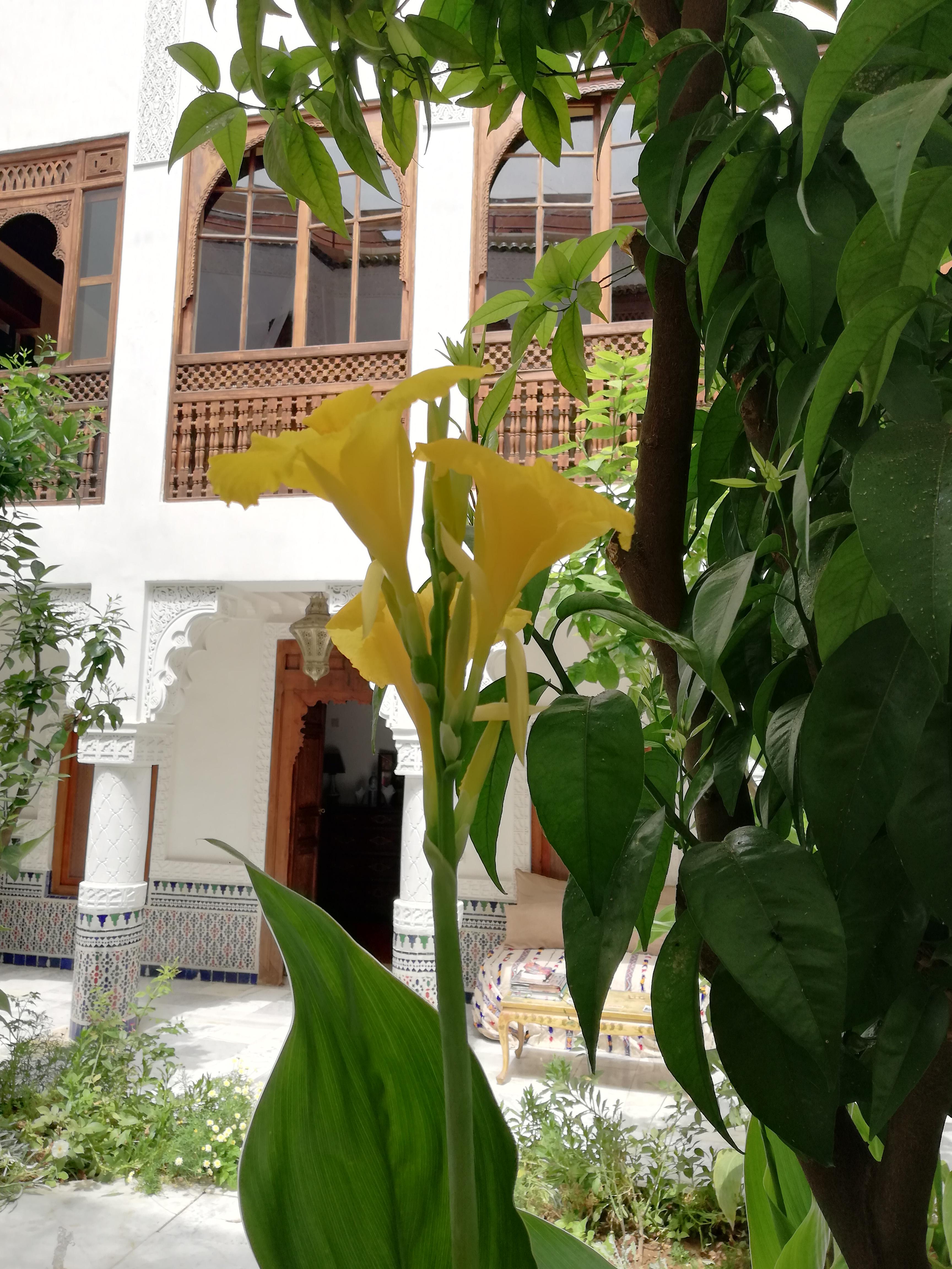 Riad Ben Youssef マラケシュ エクステリア 写真